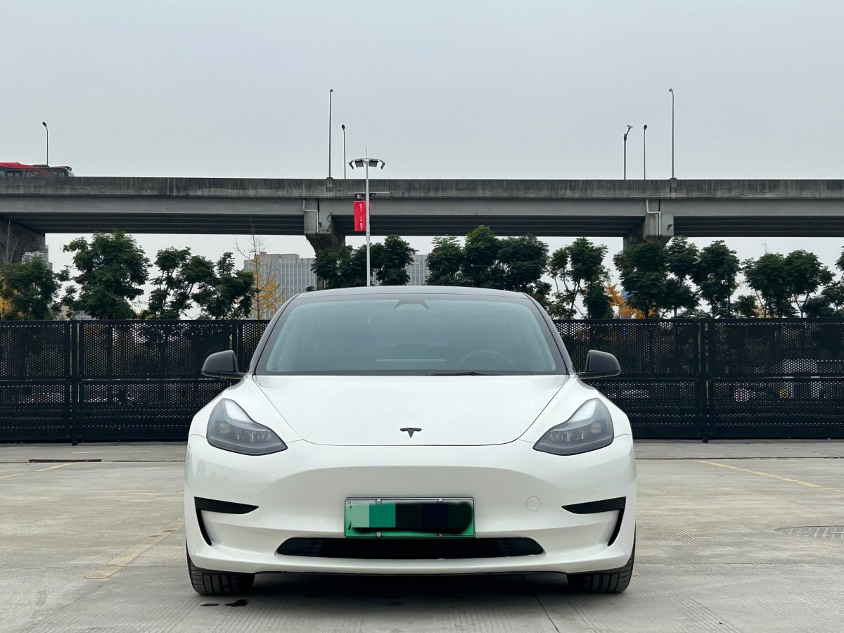 特斯拉 Model 3  2019款 標(biāo)準(zhǔn)續(xù)航后驅(qū)升級版圖片