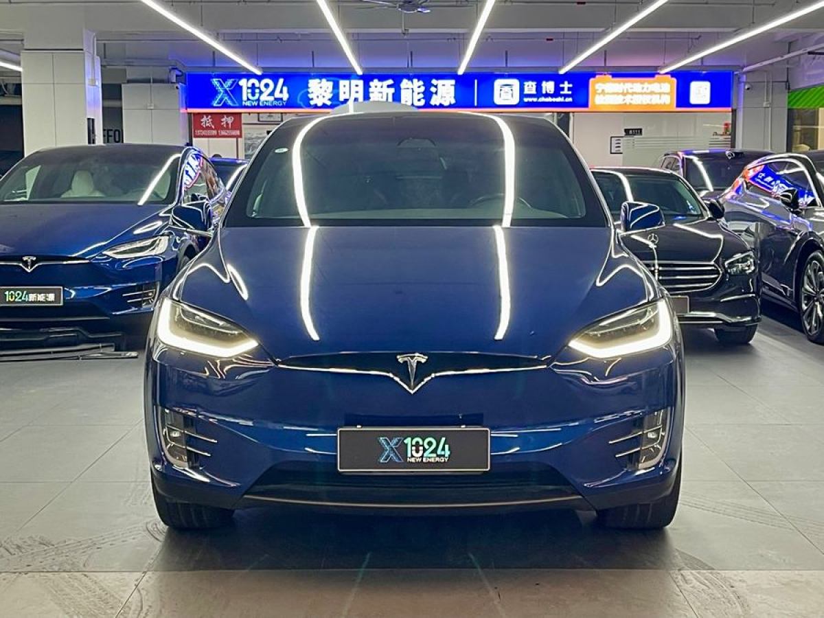 特斯拉 Model X  2019款 長(zhǎng)續(xù)航版圖片