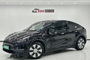 Model Y 特斯拉 標(biāo)準(zhǔn)續(xù)航后驅(qū)版