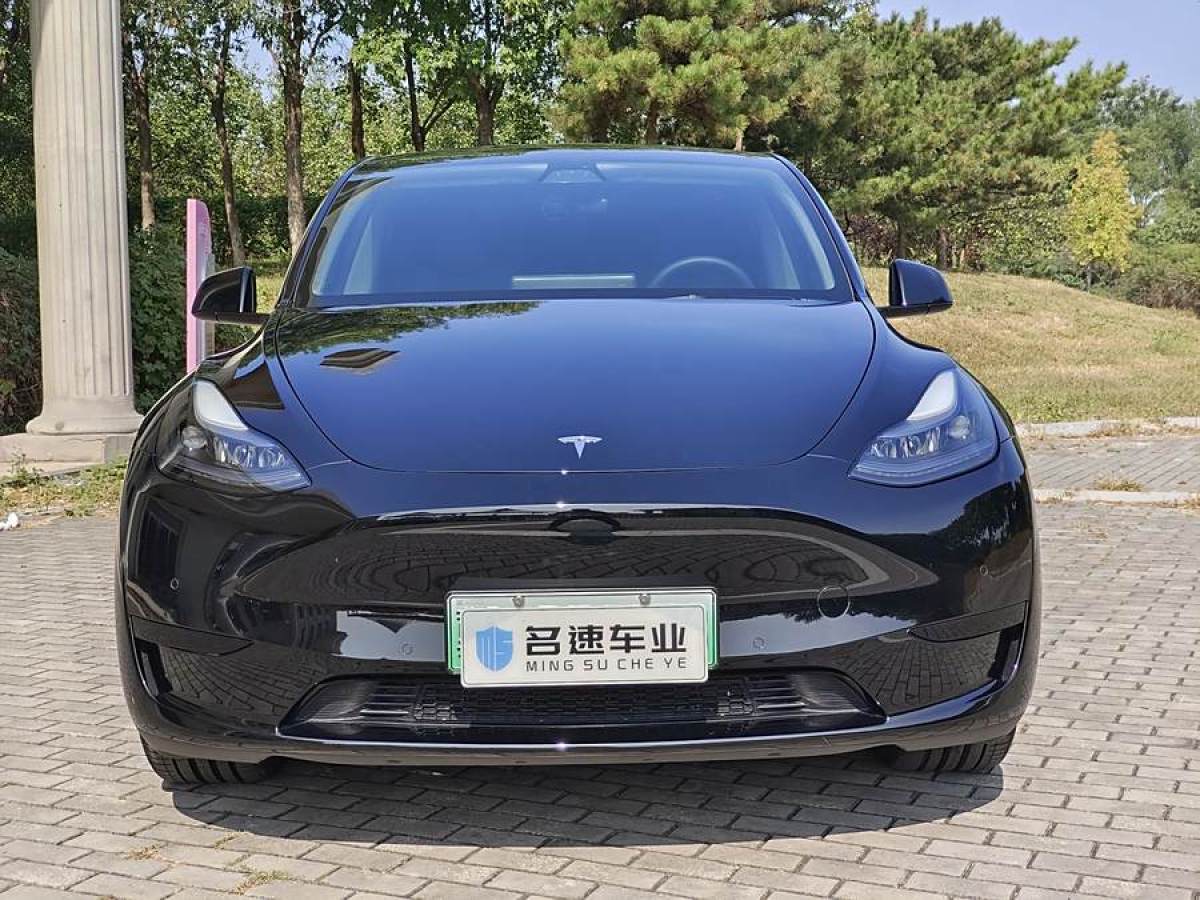 特斯拉 Model Y  2020款 改款 長續(xù)航后輪驅(qū)動版圖片