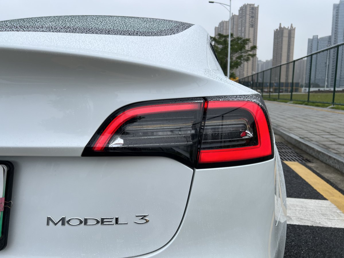 特斯拉 Model 3  2019款 標(biāo)準(zhǔn)續(xù)航后驅(qū)升級(jí)版圖片