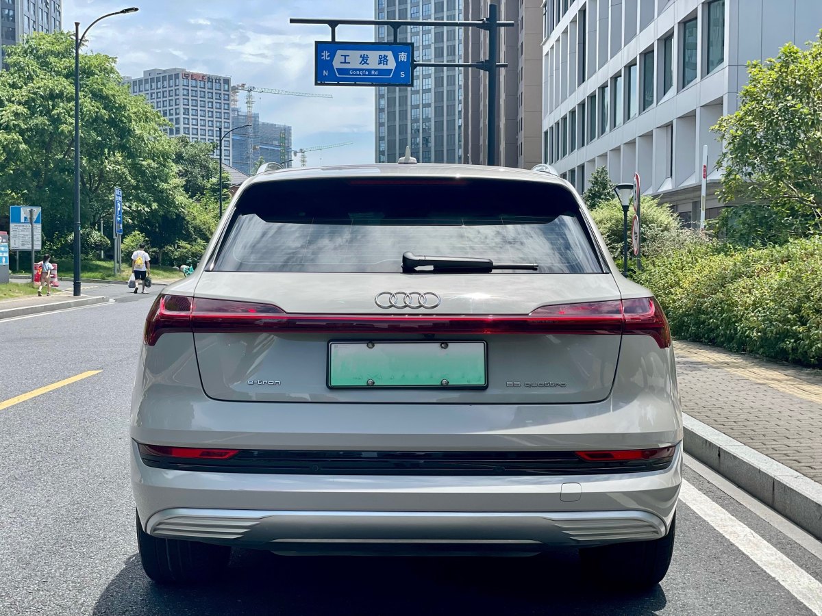 2020年10月奧迪 奧迪Q7新能源  2019款 55 e-tron