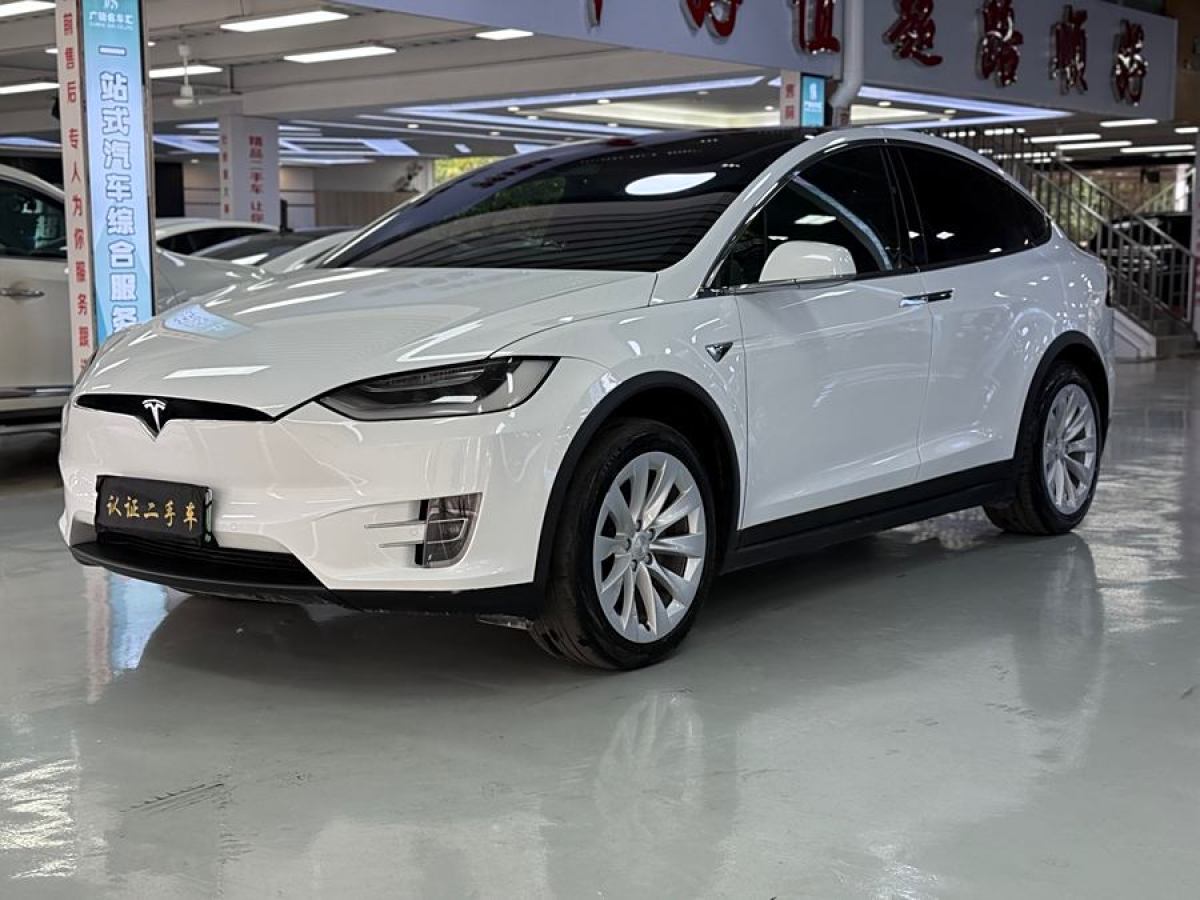 特斯拉 Model X  2019款 長續(xù)航版圖片