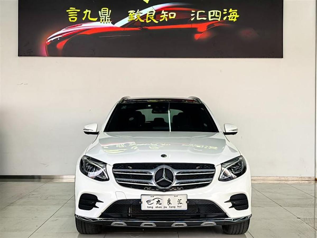 2017年7月奔馳 奔馳GLC  2017款 GLC 260 4MATIC 豪華型