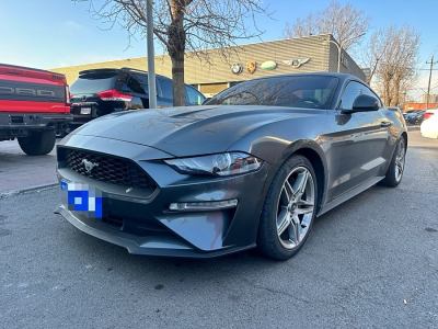 2019年4月 福特 Mustang(進(jìn)口) 2.3L EcoBoost 性能加強(qiáng)版圖片