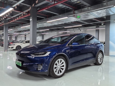 2018年4月 特斯拉 Model X Model X 75D图片