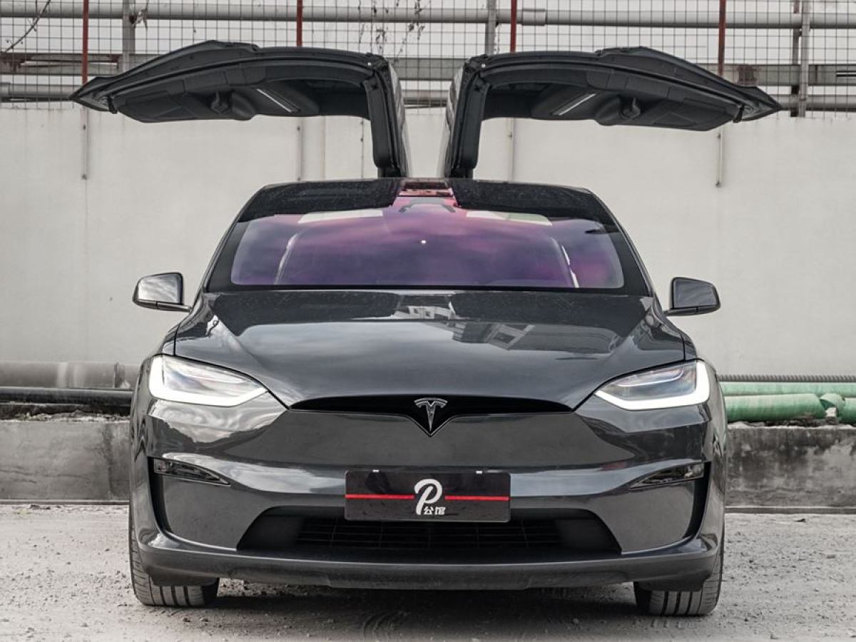 2023年6月特斯拉 Model X  2023款 雙電機(jī)全輪驅(qū)動版