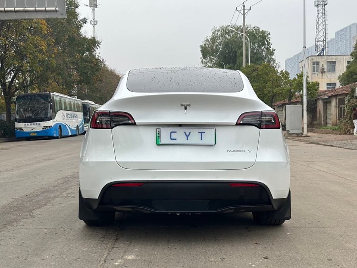 特斯拉 Model 3  2020款 改款 長(zhǎng)續(xù)航后輪驅(qū)動(dòng)版圖片