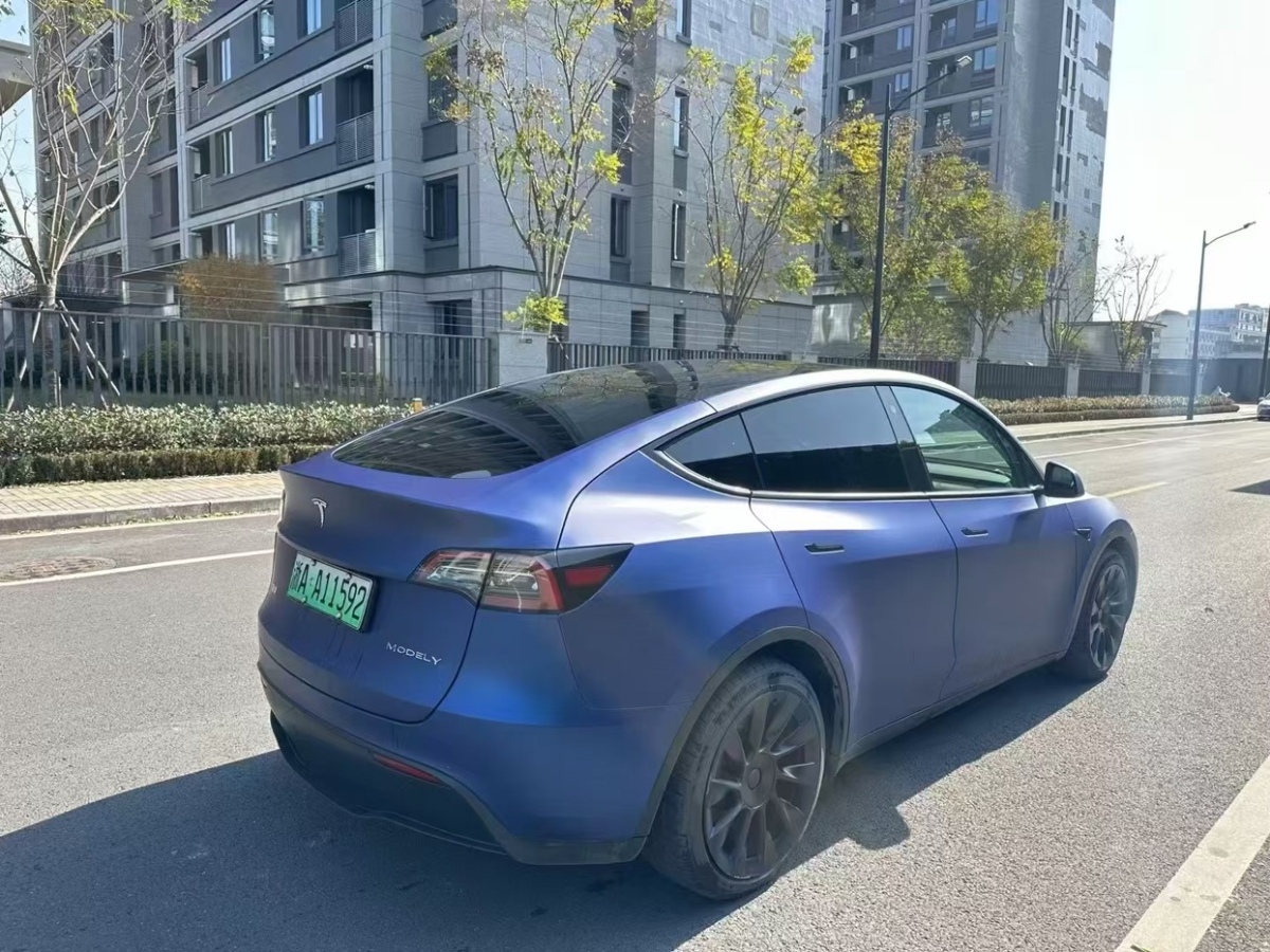 特斯拉 Model Y  2021款 長(zhǎng)續(xù)航全輪驅(qū)動(dòng)版圖片