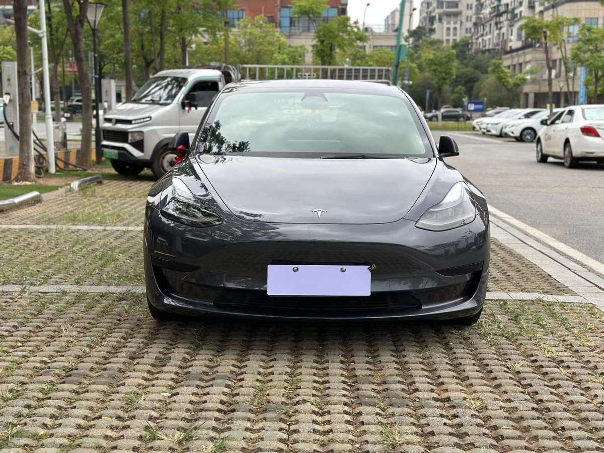 特斯拉 Model 3  2021款 标准续航后驱版图片