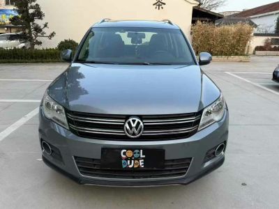 2012年1月 大眾 途歡(進口) 2.0 TDI 舒適版圖片