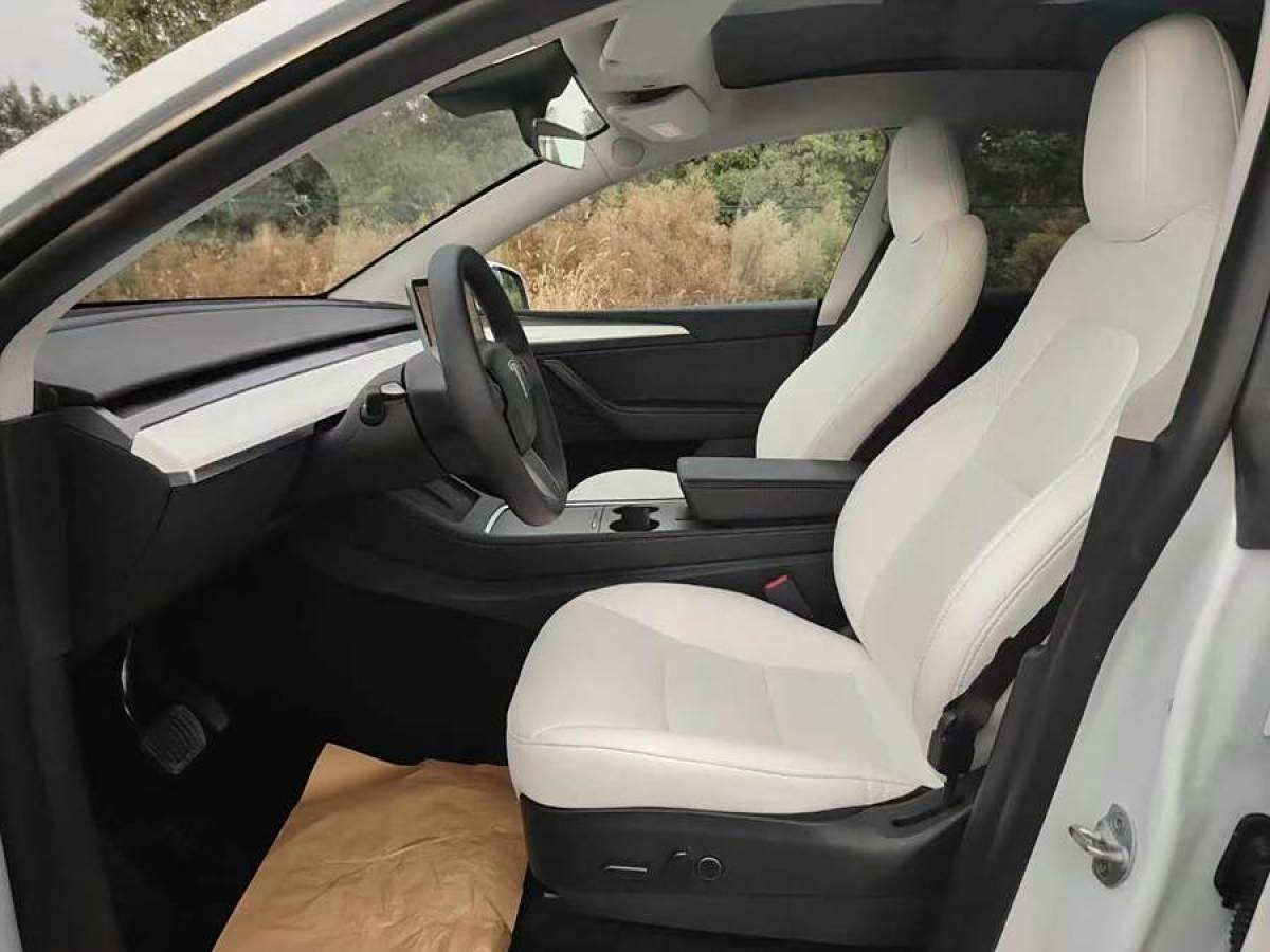 2022年11月特斯拉 Model 3  2022款 后輪驅(qū)動版