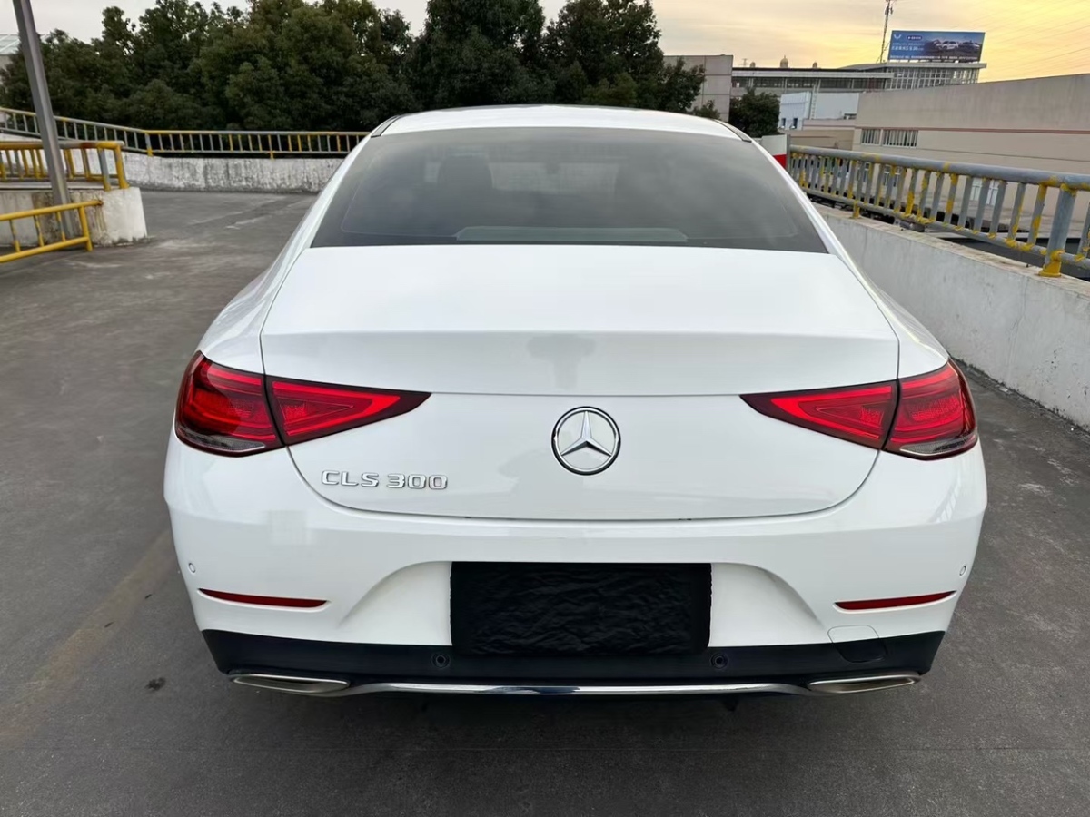 奔馳 奔馳CLS級  2020款 CLS 300 動感型圖片