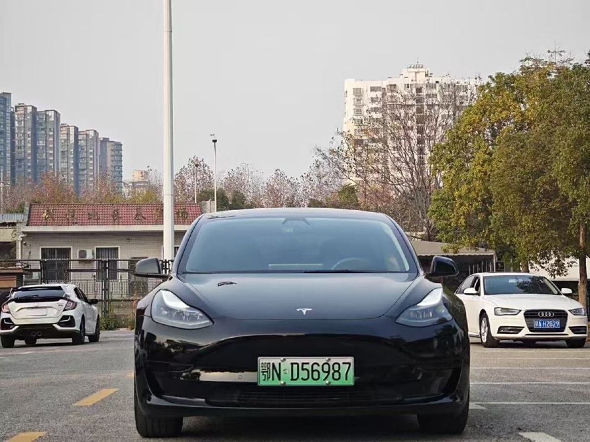 特斯拉 Model 3  2021款 改款 標(biāo)準(zhǔn)續(xù)航后驅(qū)升級(jí)版圖片