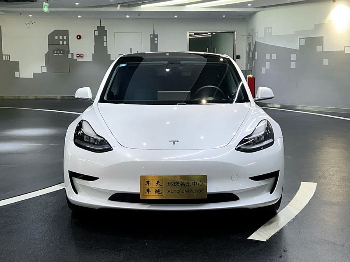 特斯拉 Model 3  2019款 標準續(xù)航后驅升級版圖片