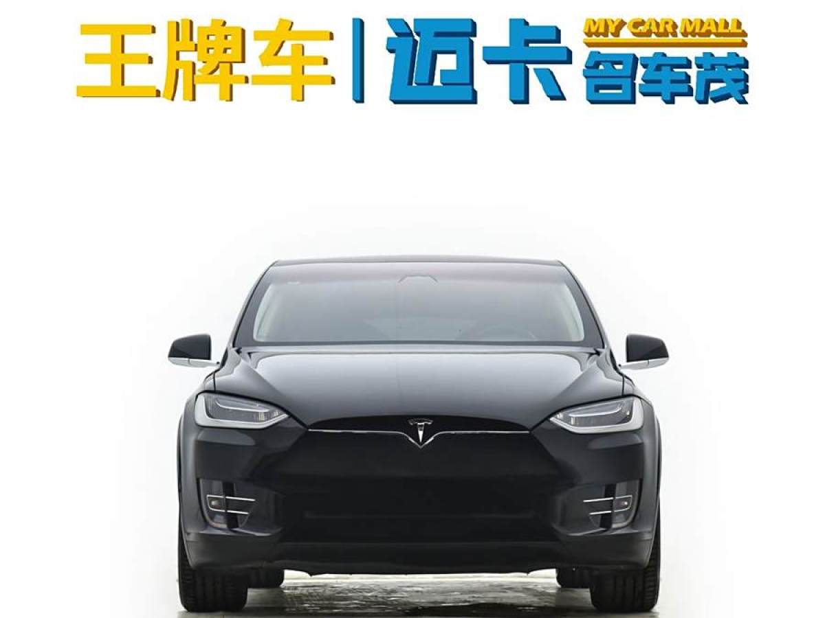 特斯拉 Model X  2016款 Model X 75D圖片