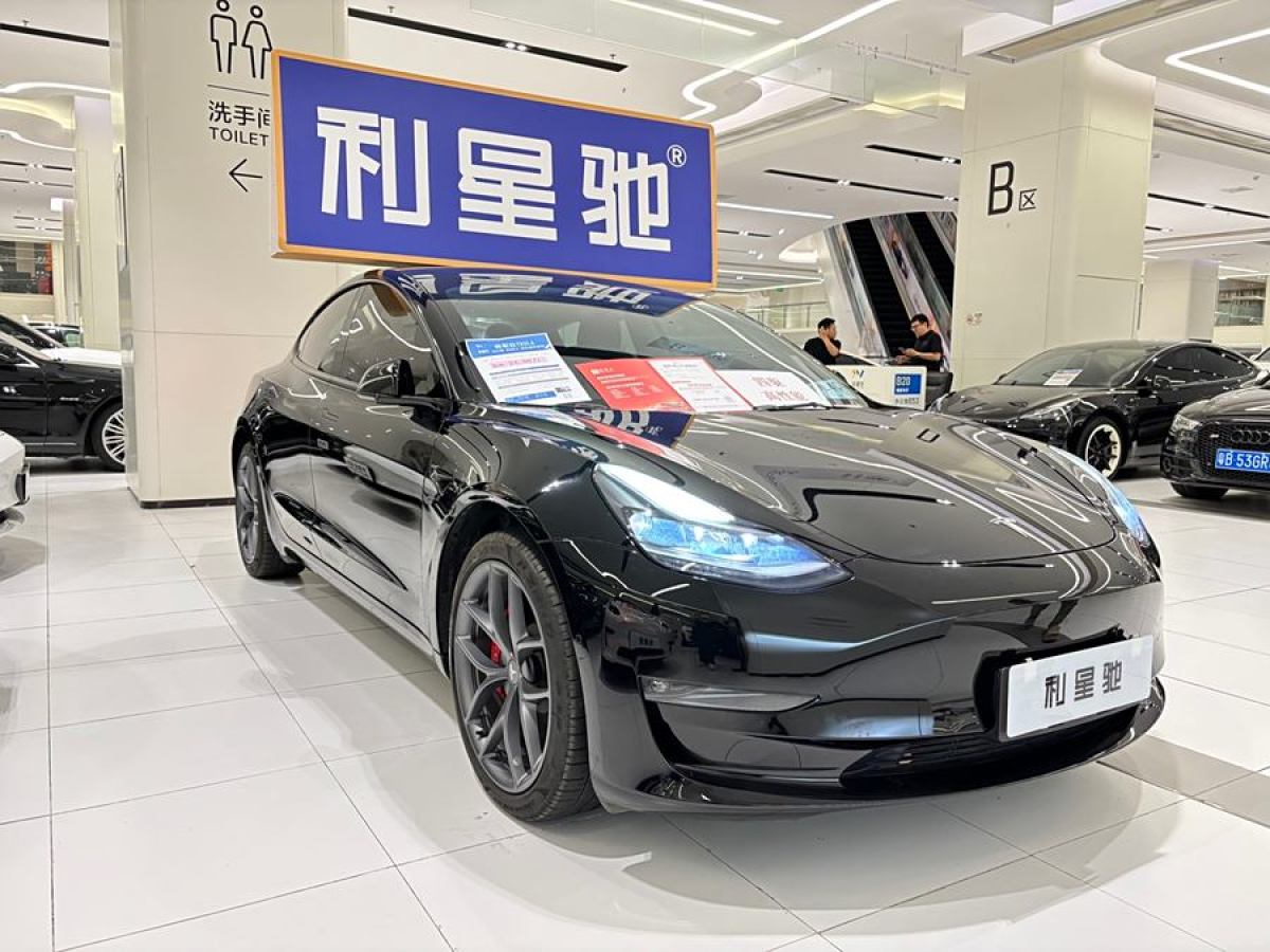 特斯拉 Model 3  2022款 Performance高性能全輪驅動版圖片