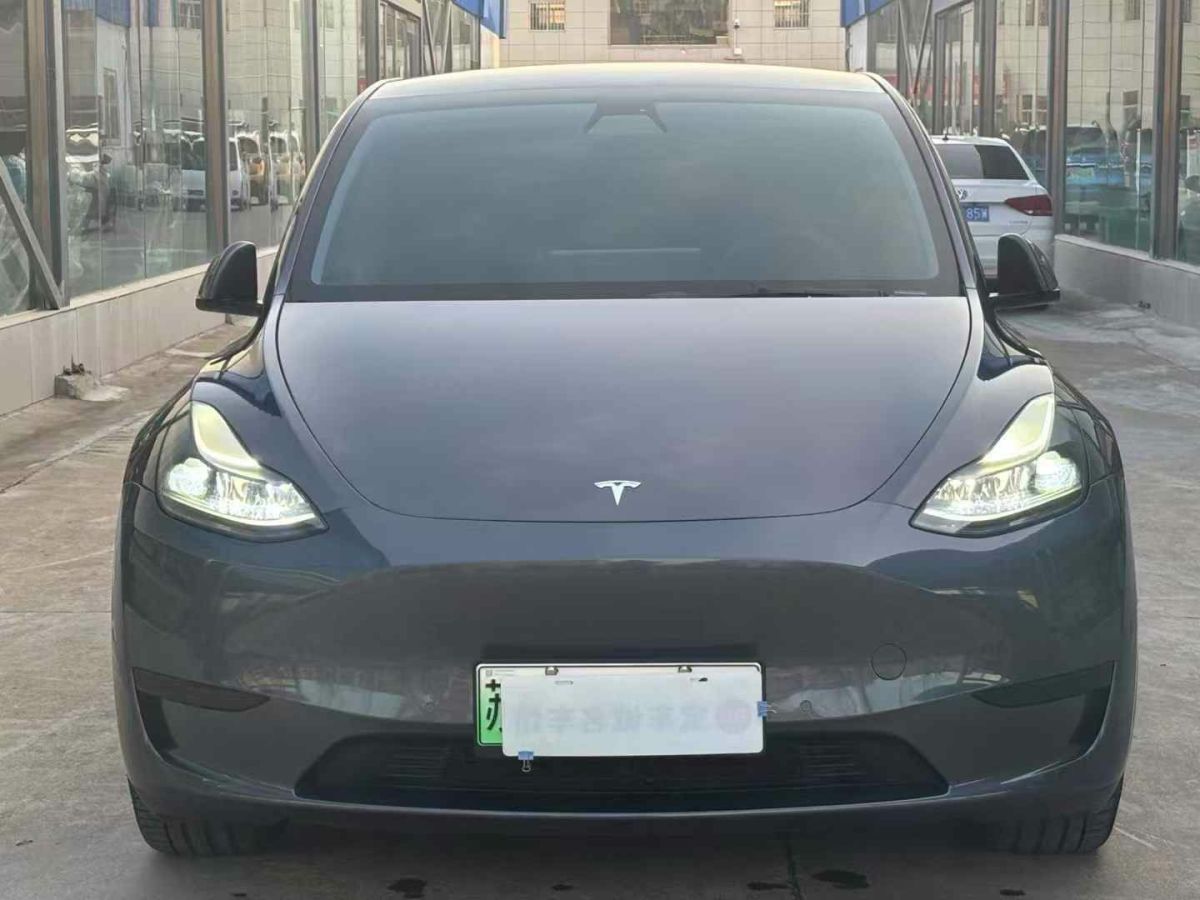 特斯拉 Model 3  2022款 Performance高性能全輪驅(qū)動(dòng)版圖片