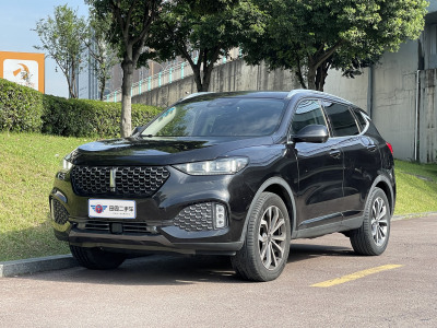 2020年6月 WEY VV6 2.0T 兩驅智享+圖片