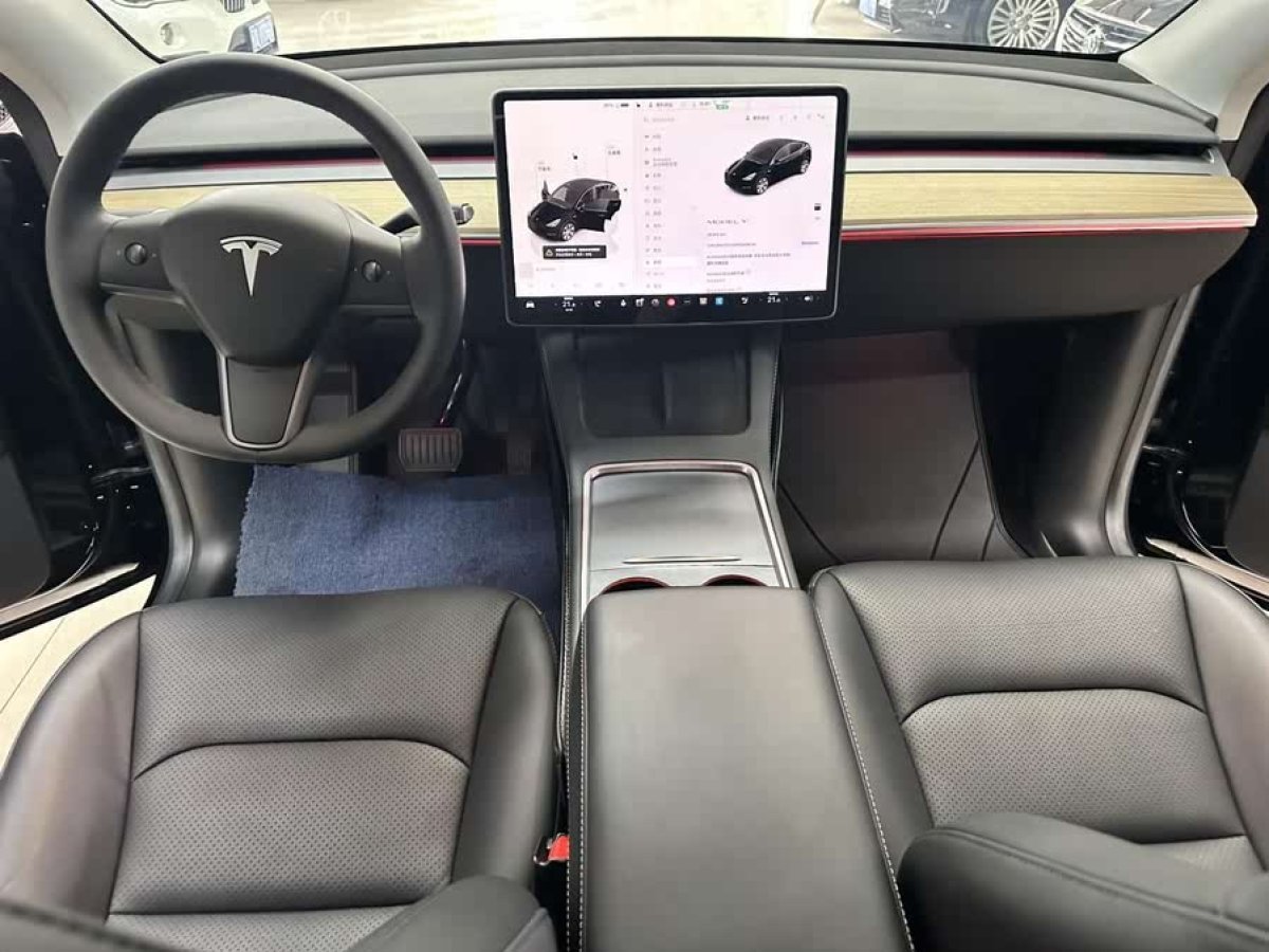 特斯拉 Model Y  2022款 改款 后輪驅(qū)動版圖片