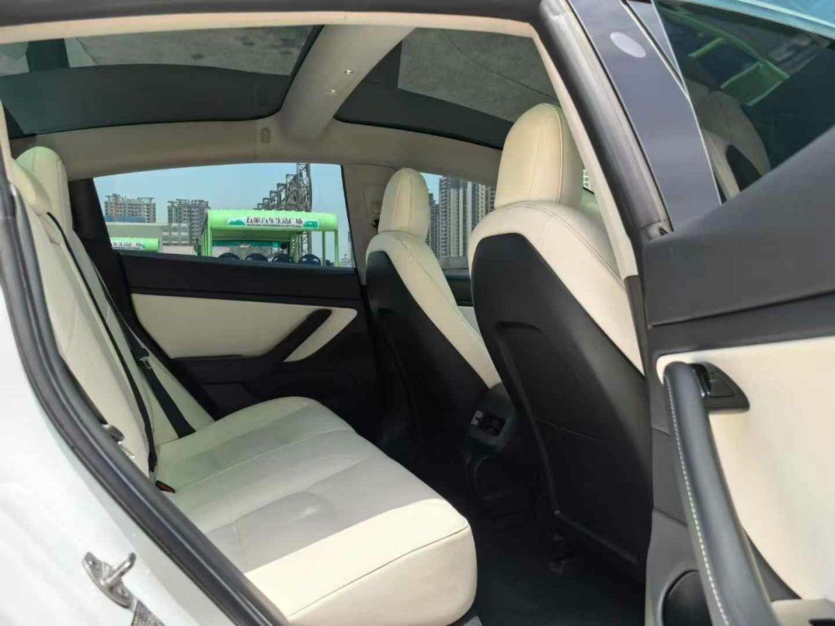 特斯拉 Model X  2020款 Performance 高性能版圖片