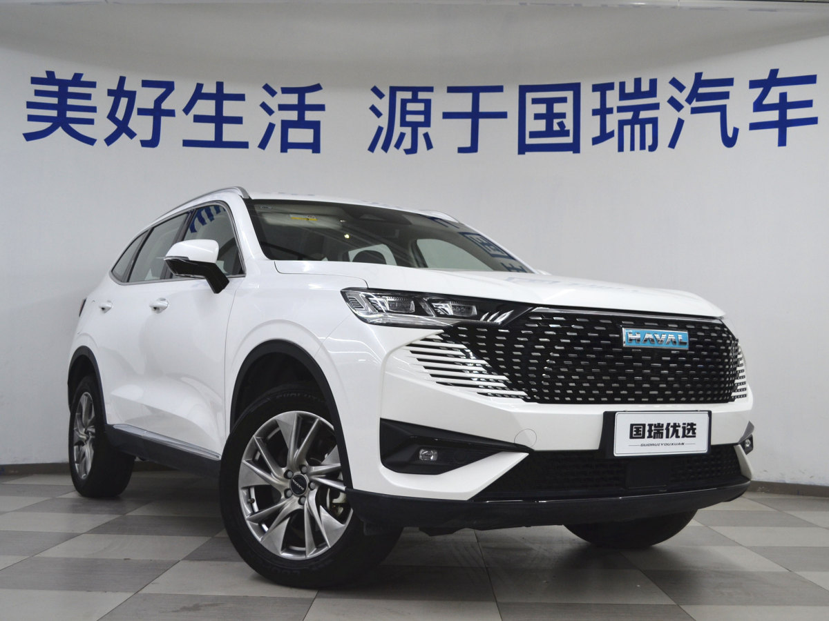 哈弗 哈弗H6新能源  2023款 DHT-PHEV 110KM 悅行版圖片