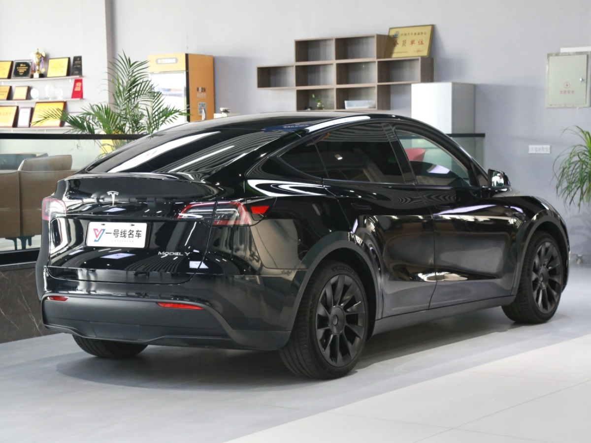 特斯拉 Model Y  2021款 標(biāo)準(zhǔn)續(xù)航后驅(qū)版圖片