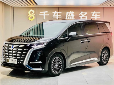 2024年2月 騰勢 騰勢D9 DM-i 965 尊享型圖片