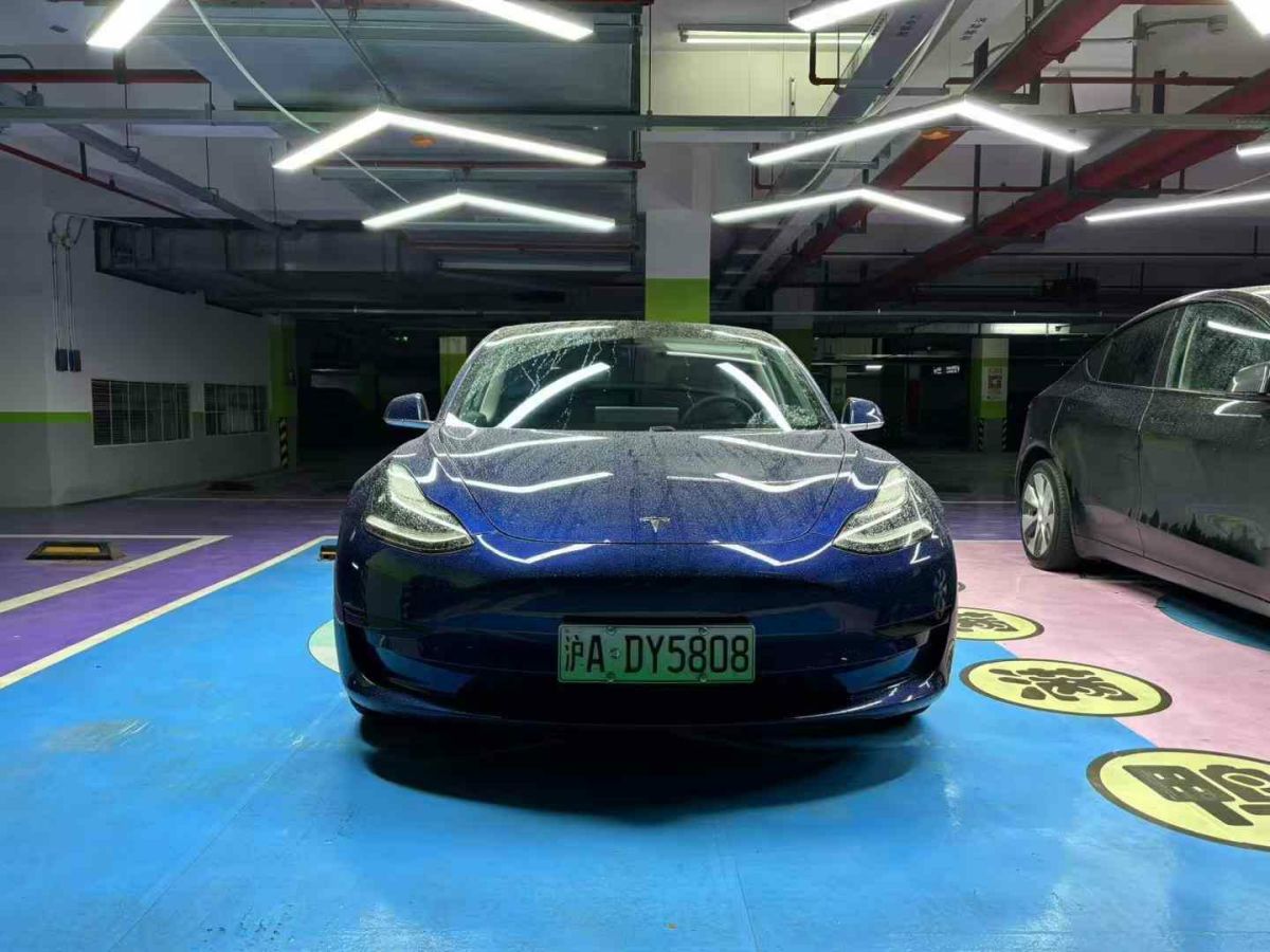 特斯拉 Model Y  2020款 Performance高性能全輪驅(qū)動(dòng)版圖片