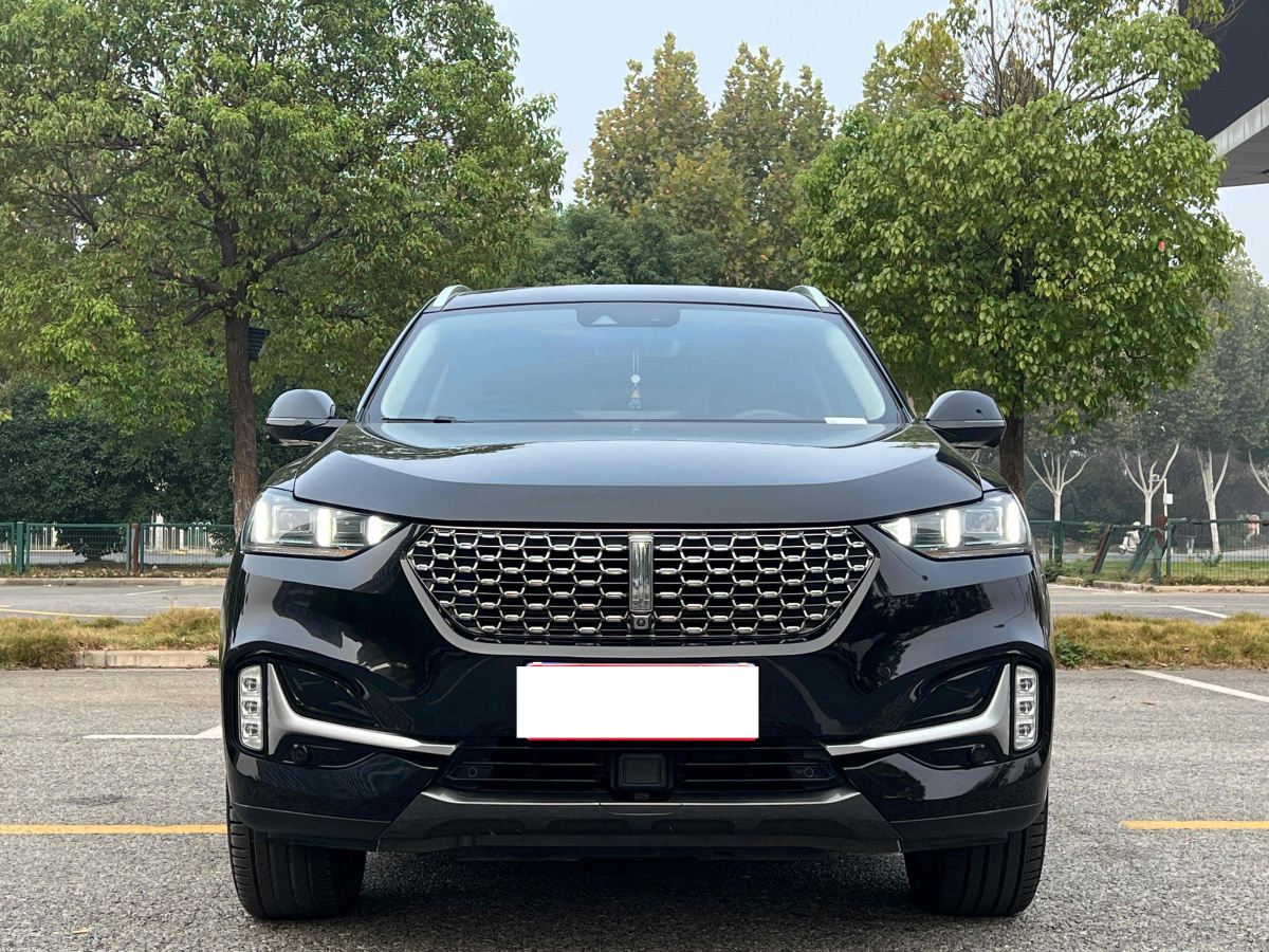 2020年7月WEY VV6  2021款 2.0T 兩驅(qū)智護+