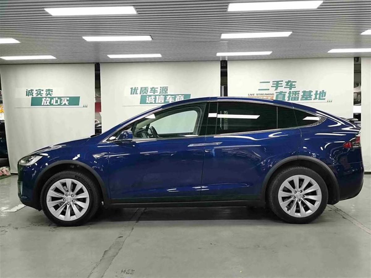 2016年10月特斯拉 Model X  2016款 Model X 90D