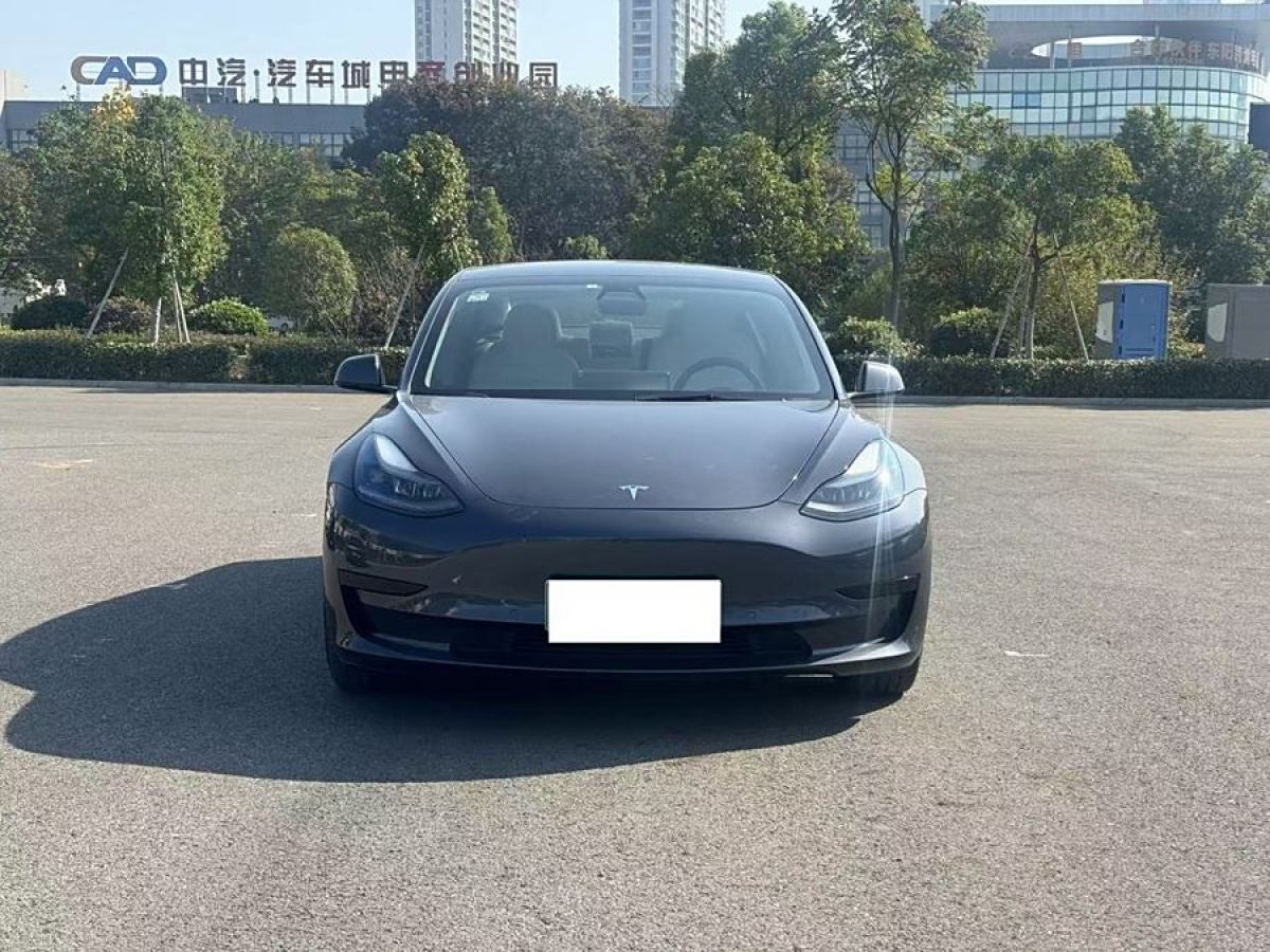 特斯拉 Model 3  2021款 改款 標(biāo)準(zhǔn)續(xù)航后驅(qū)升級(jí)版圖片