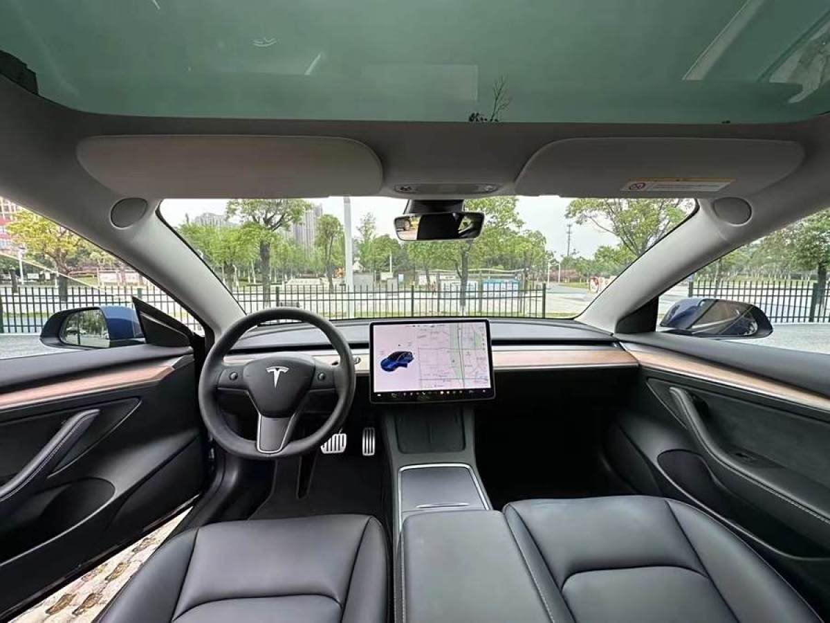 特斯拉 Model 3  2019款 Performance高性能全輪驅(qū)動版圖片