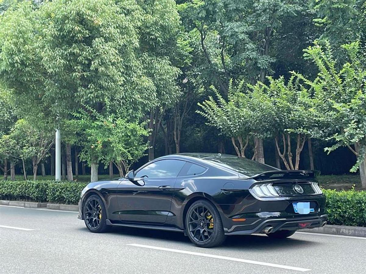 福特 Mustang  2019款 2.3L EcoBoost圖片