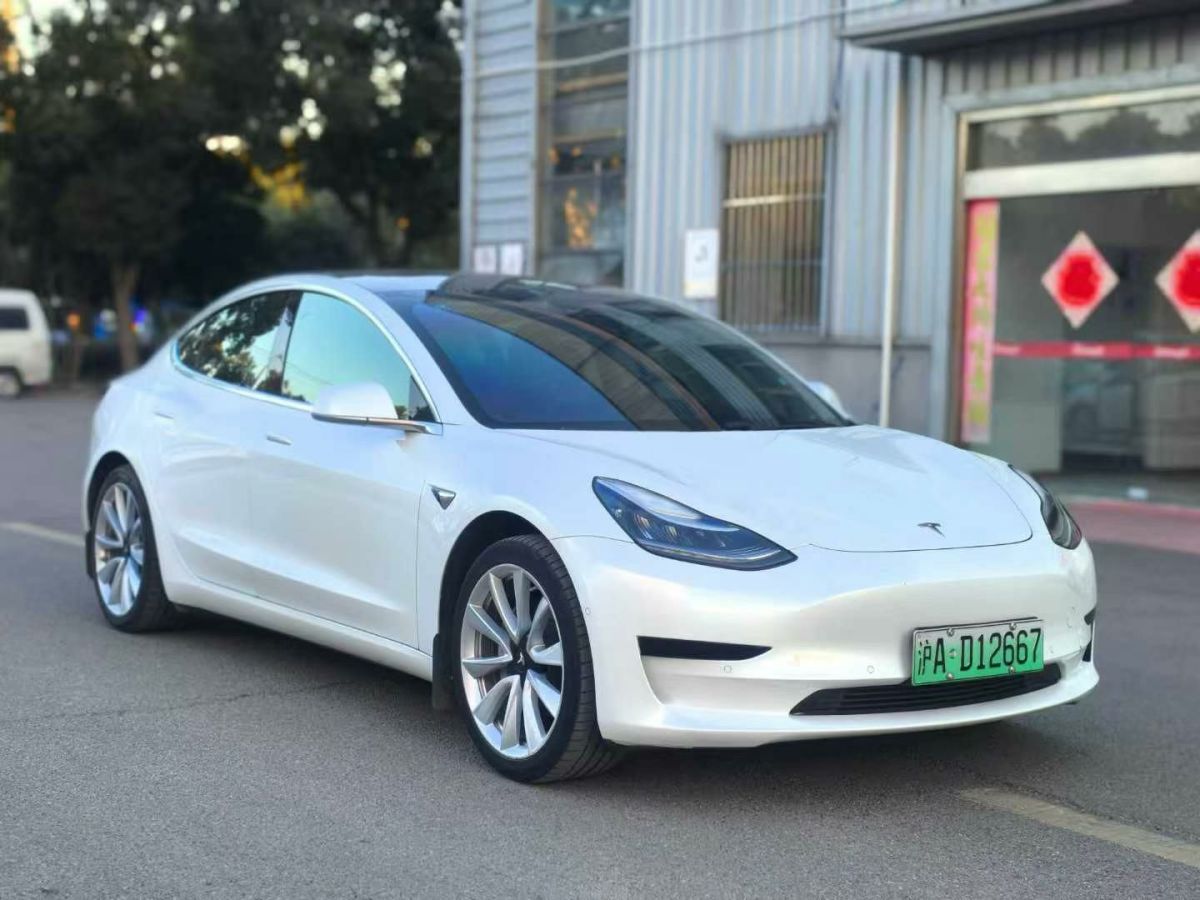 特斯拉 Model X  2020款 Performance 高性能版圖片