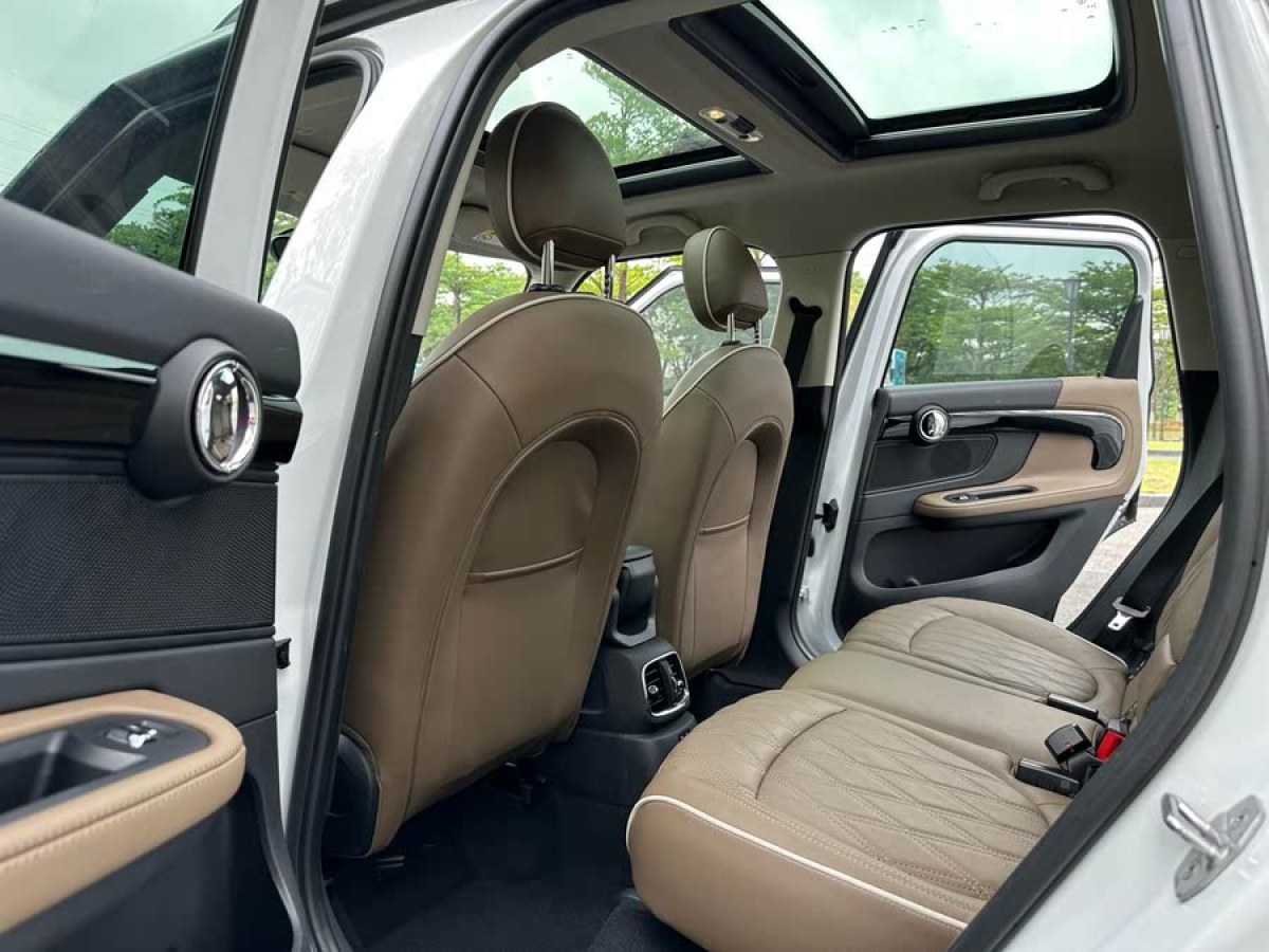 MINI COUNTRYMAN  2018款 2.0T COOPER S ALL4 藝術(shù)家圖片