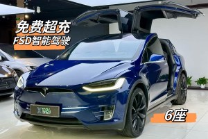 Model X 特斯拉 Model X 100D 長續(xù)航版