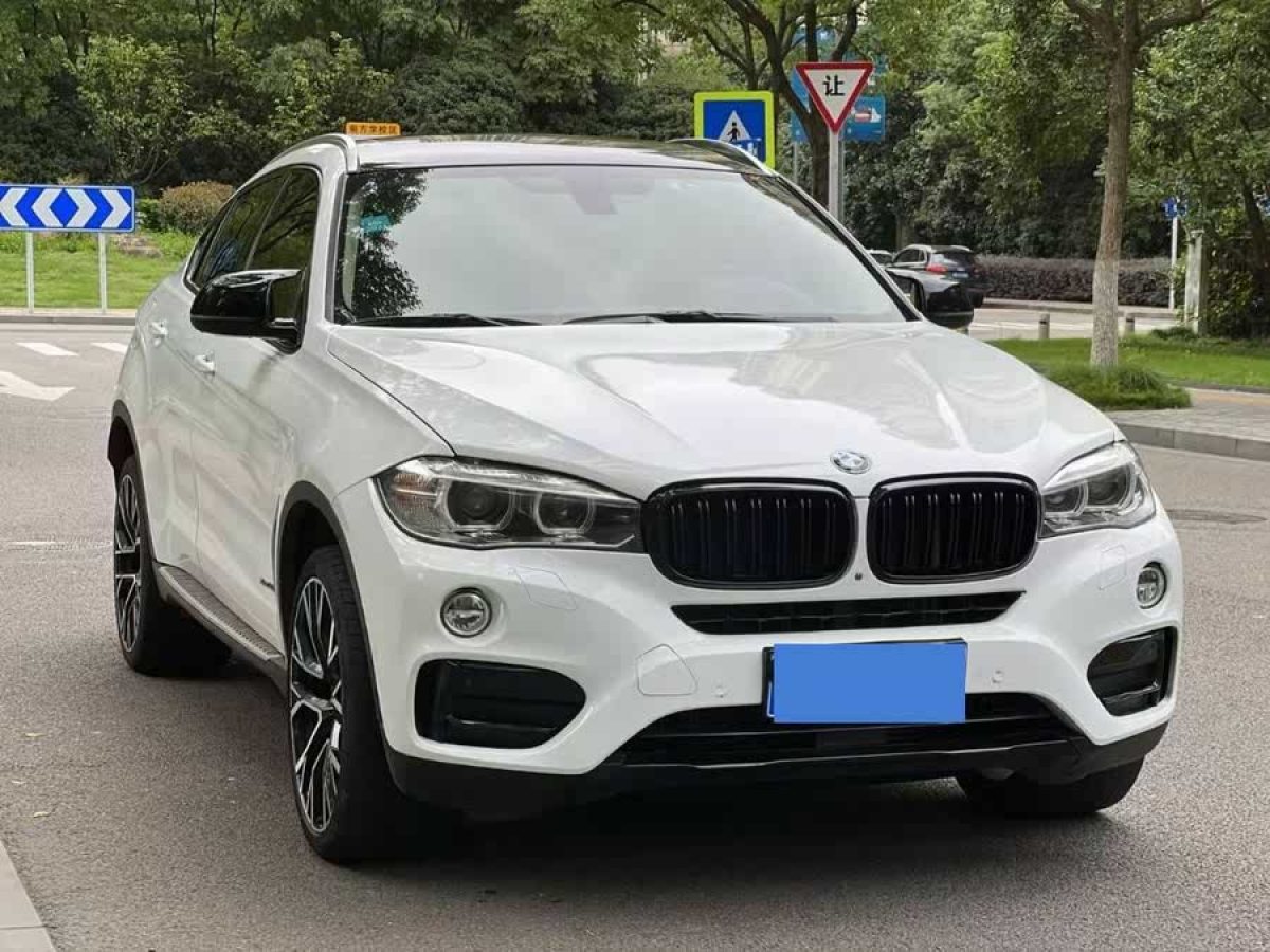 寶馬 寶馬X6  2015款 xDrive35i 領(lǐng)先型圖片