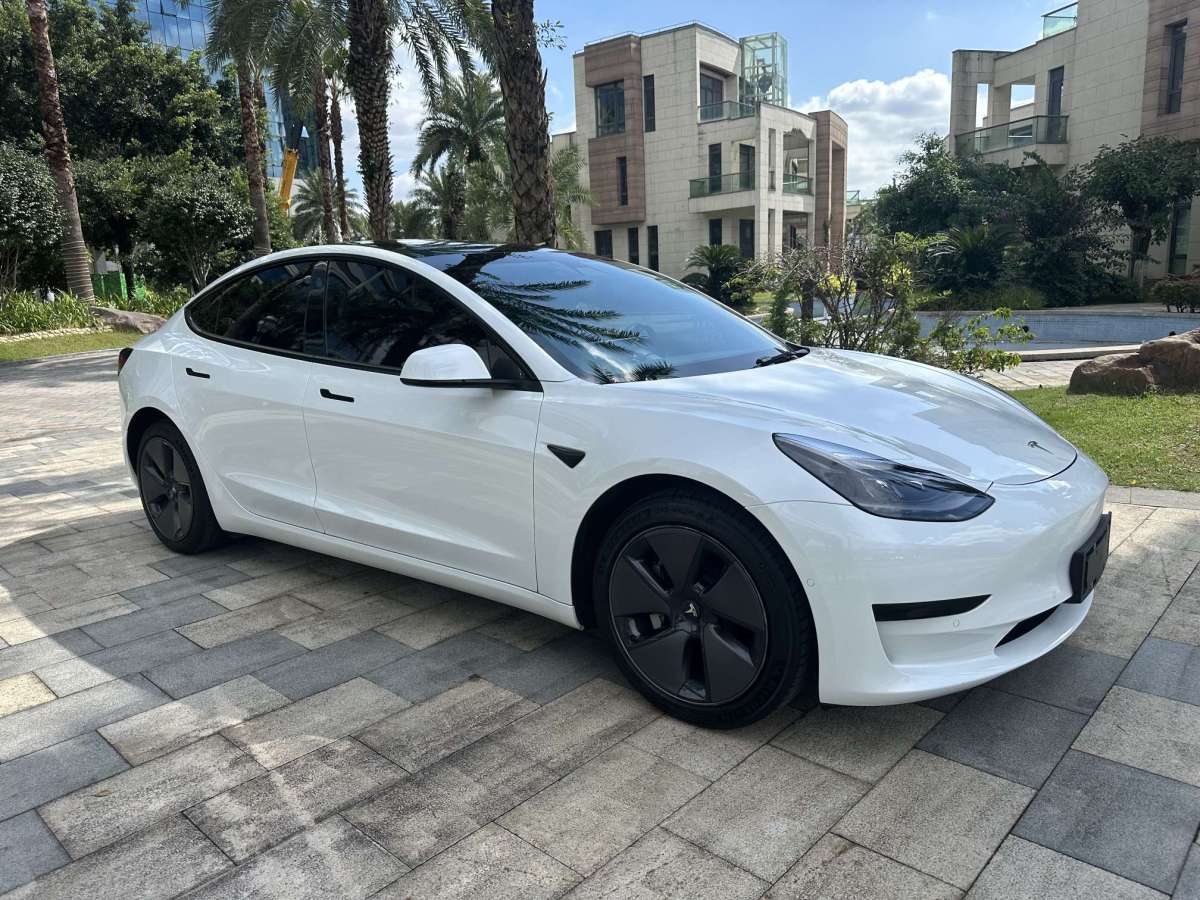 特斯拉 Model 3  2021款 標準續(xù)航后驅(qū)升級版 3D6圖片