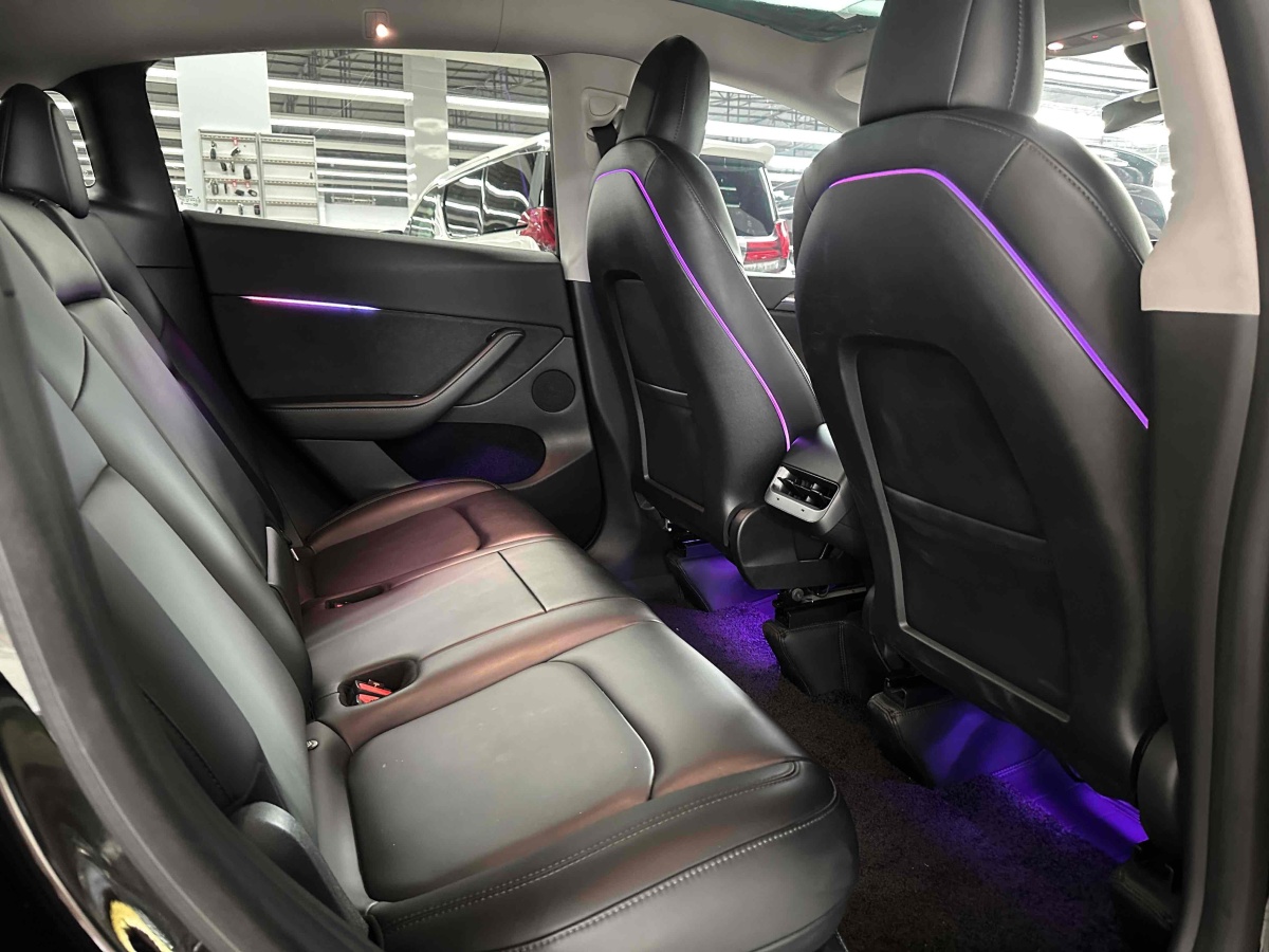 特斯拉 Model Y  2021款 標(biāo)準(zhǔn)續(xù)航后驅(qū)版圖片
