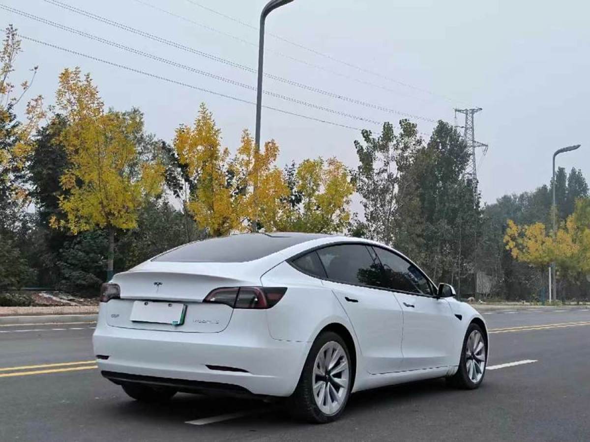 特斯拉 Model 3  2019款 標準續(xù)航后驅升級版圖片