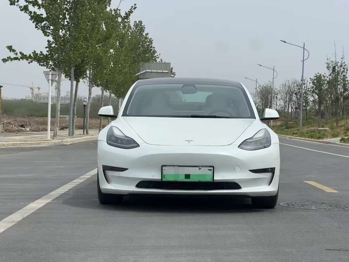 特斯拉 Model 3  2021款 改款 標(biāo)準(zhǔn)續(xù)航后驅(qū)升級版圖片