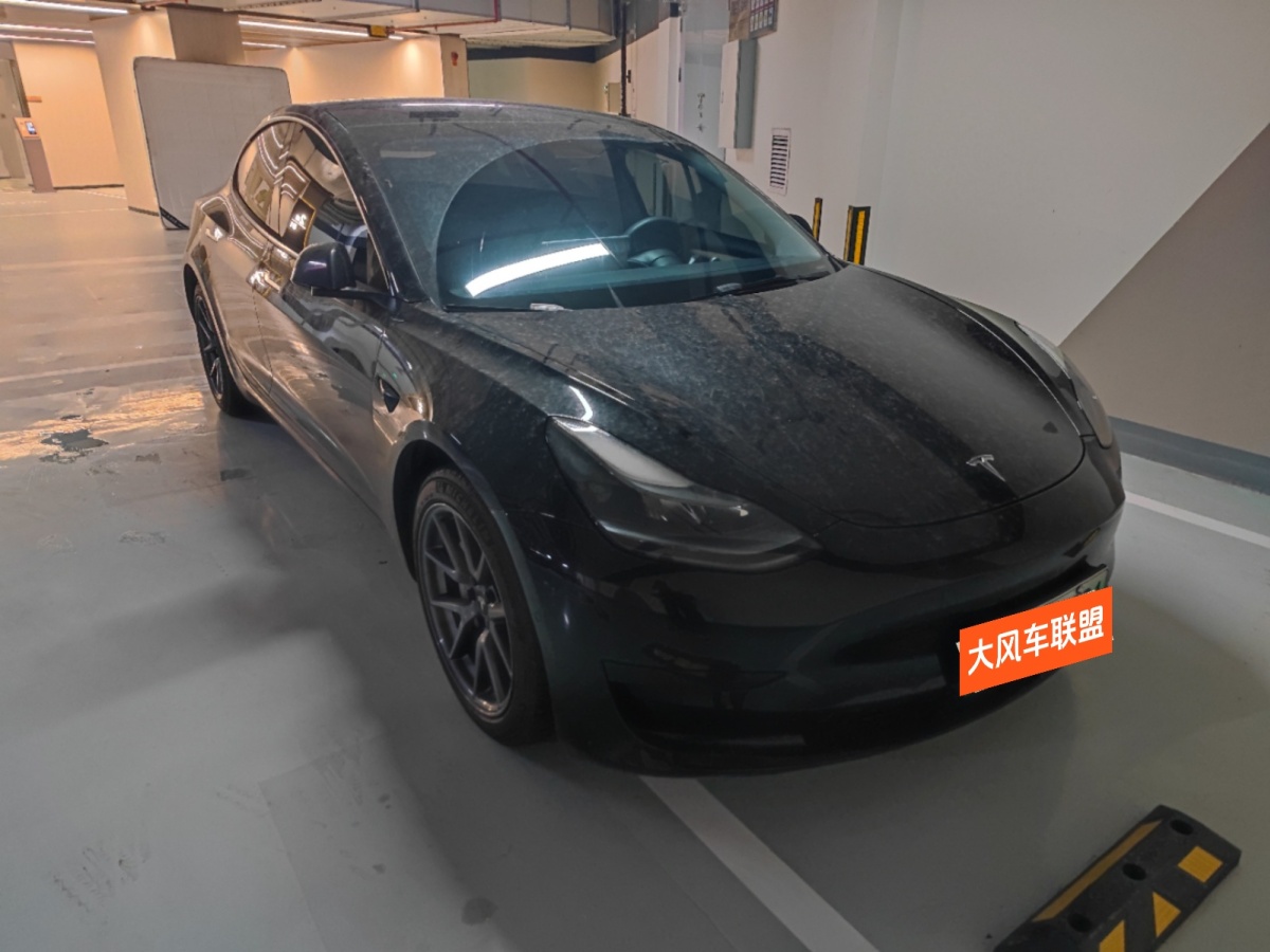 特斯拉 Model 3  2021款 改款 標(biāo)準(zhǔn)續(xù)航后驅(qū)升級(jí)版圖片
