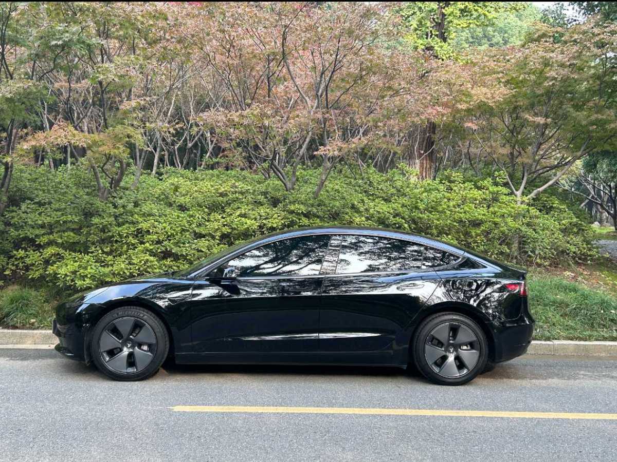 特斯拉 Model 3  2019款 標(biāo)準(zhǔn)續(xù)航后驅(qū)升級(jí)版圖片