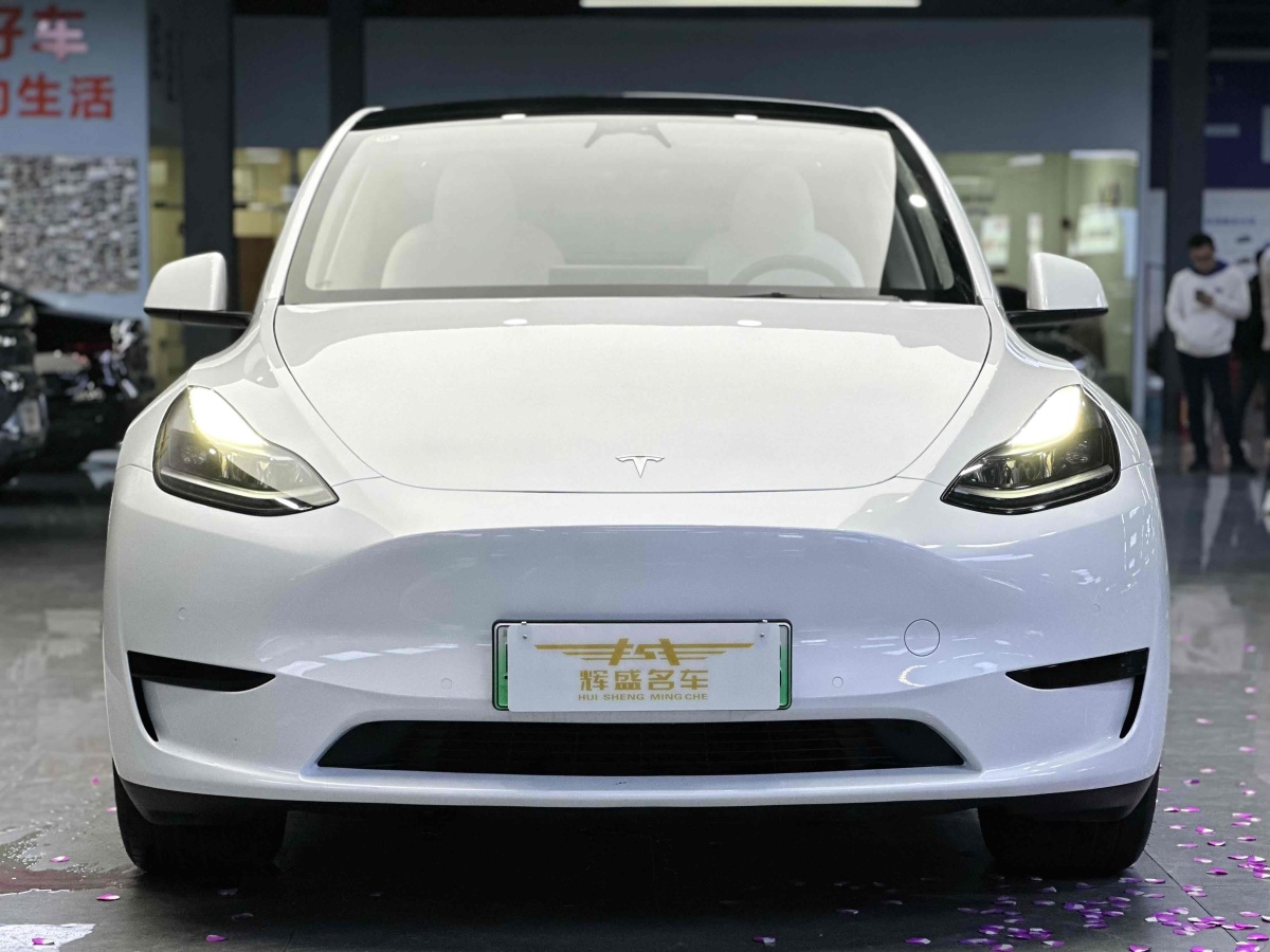 特斯拉 Model 3  2020款 改款 長續(xù)航后輪驅(qū)動版圖片