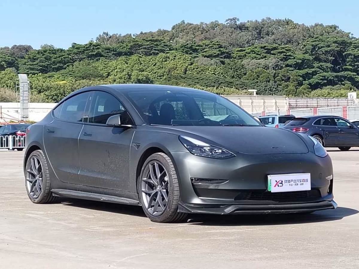 特斯拉 Model 3  2021款 Performance高性能全輪驅(qū)動(dòng)版 3D6圖片