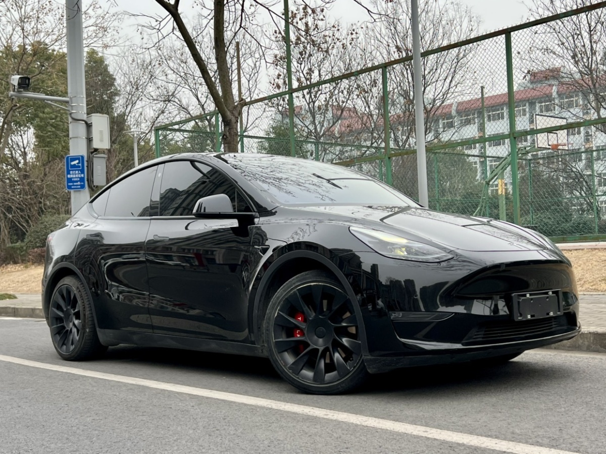 特斯拉 Model Y  2021款 標準續(xù)航后驅(qū)版圖片