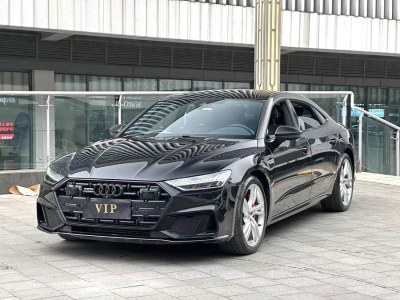 2022年1月 奧迪 奧迪A7L 45 TFSI quattro S-line 圣騎士圖片