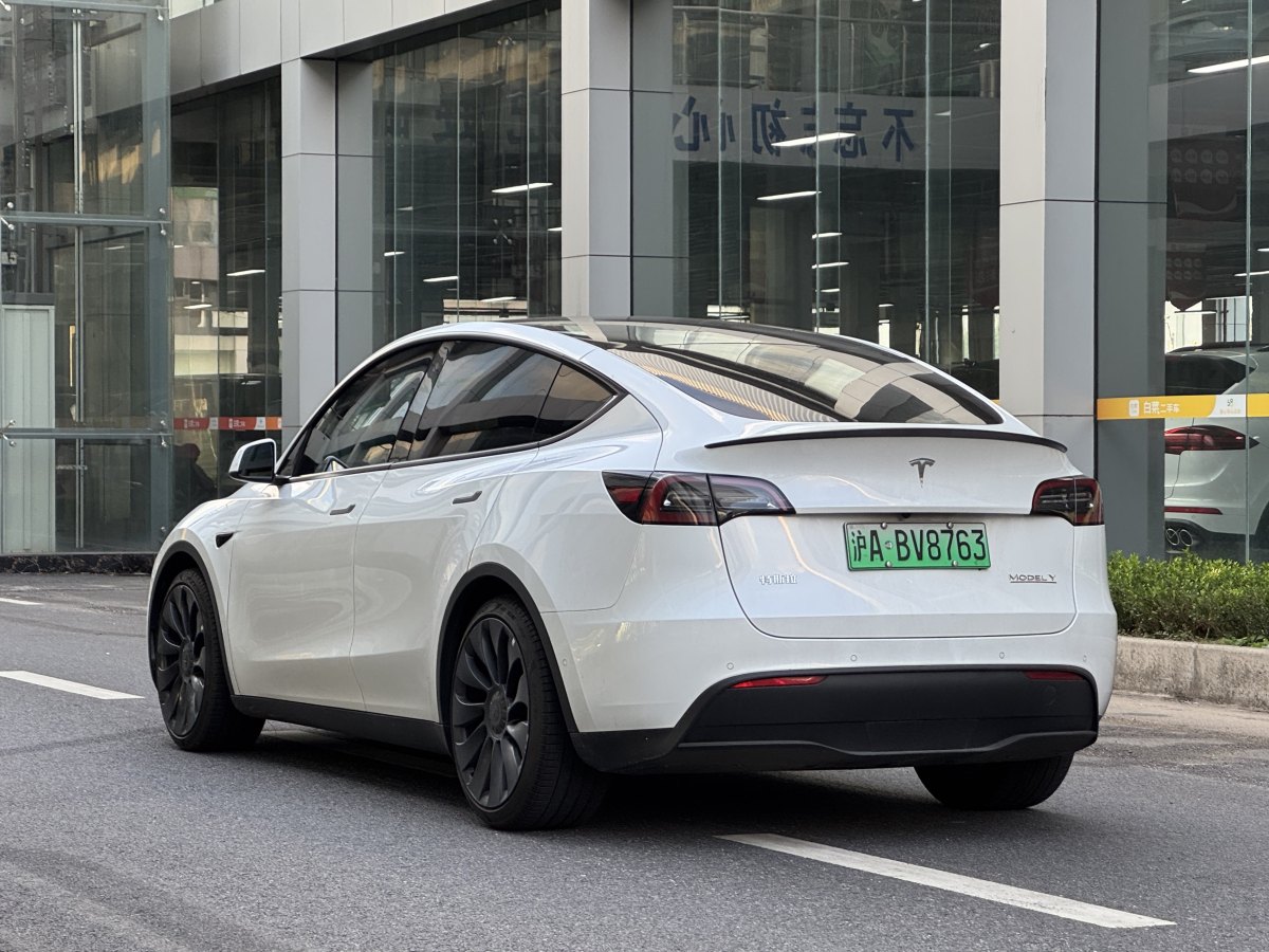 特斯拉 Model Y  2022款 Performance高性能全輪驅動版圖片