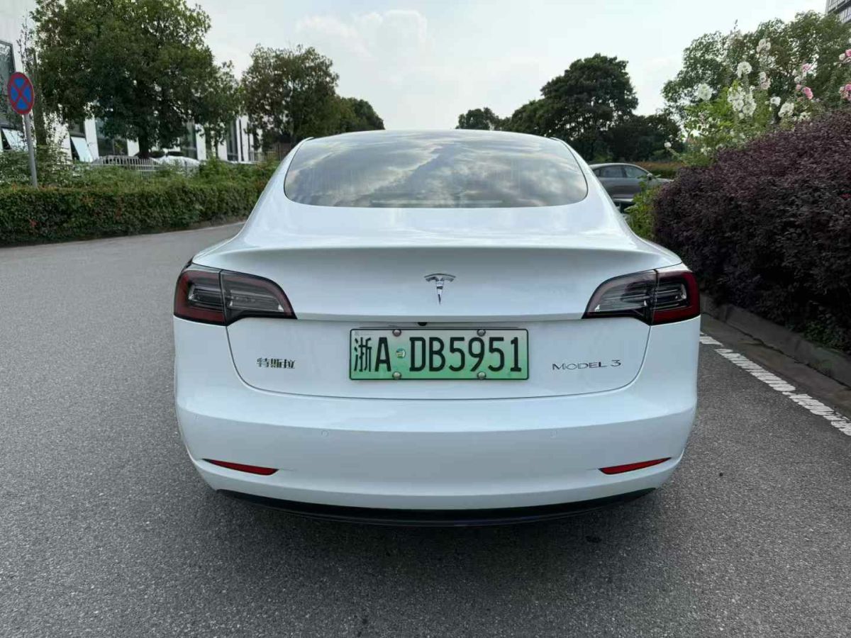 特斯拉 Model X  2020款 Performance 高性能版圖片